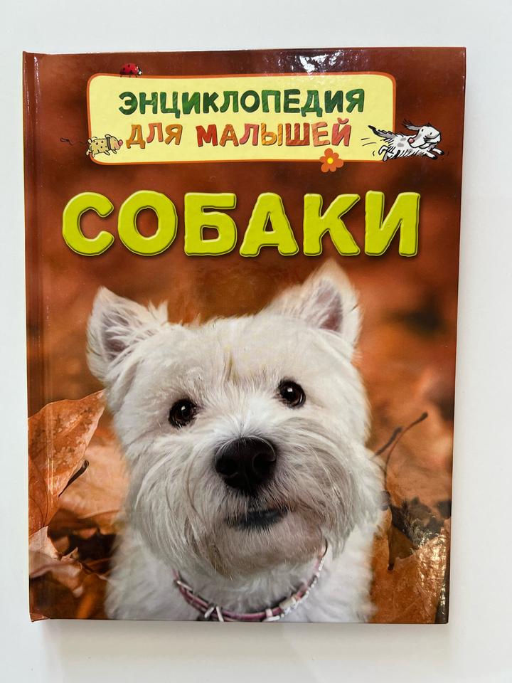 Собаки