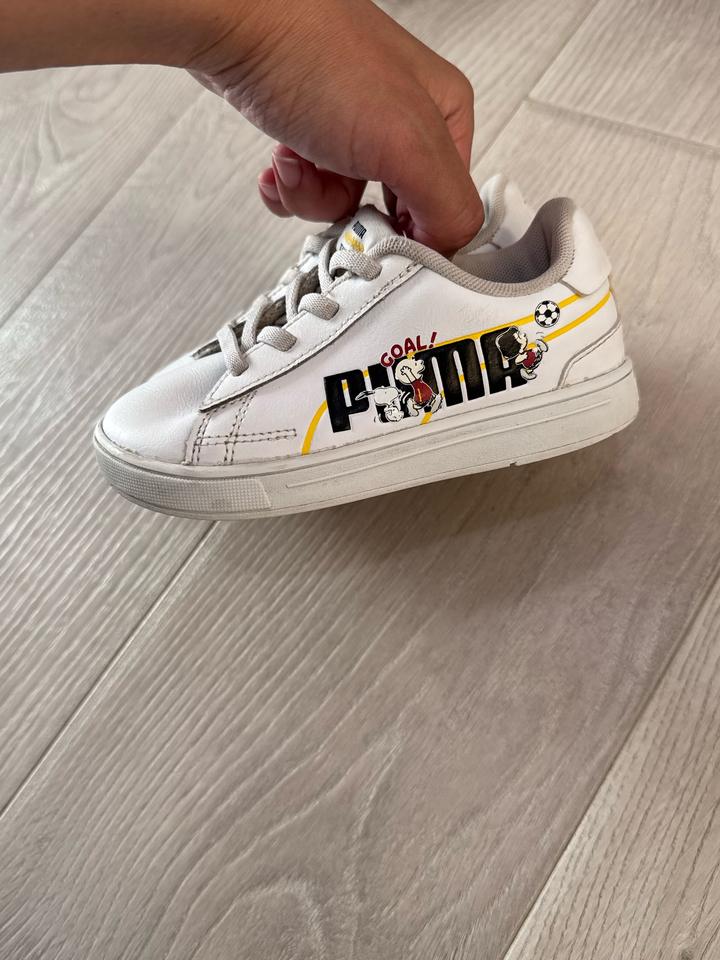 Puma