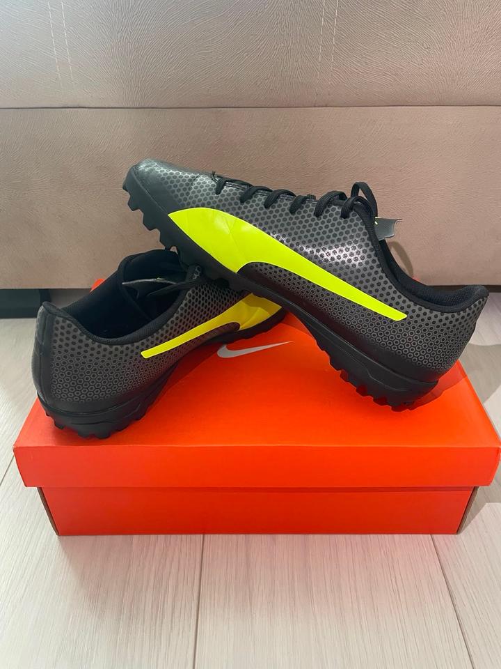 Puma