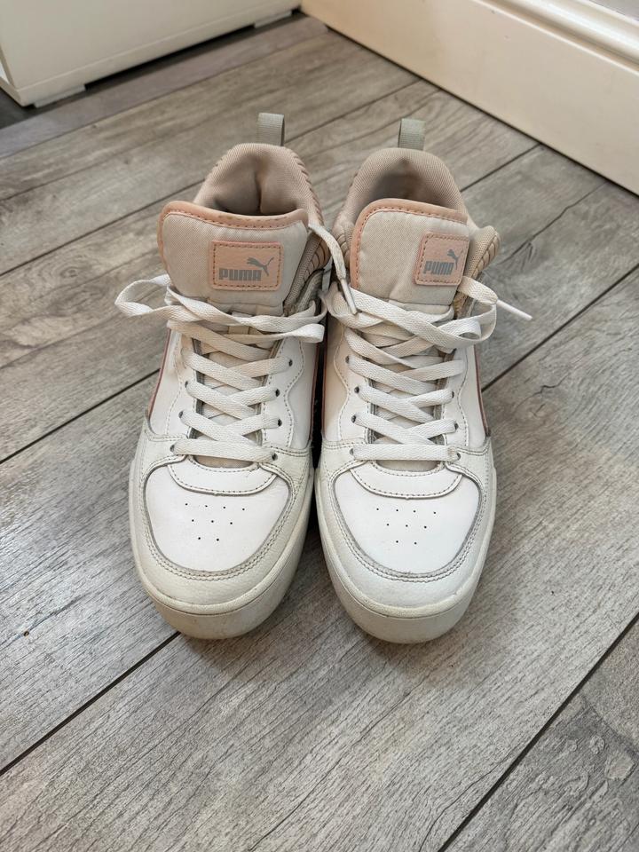 Puma