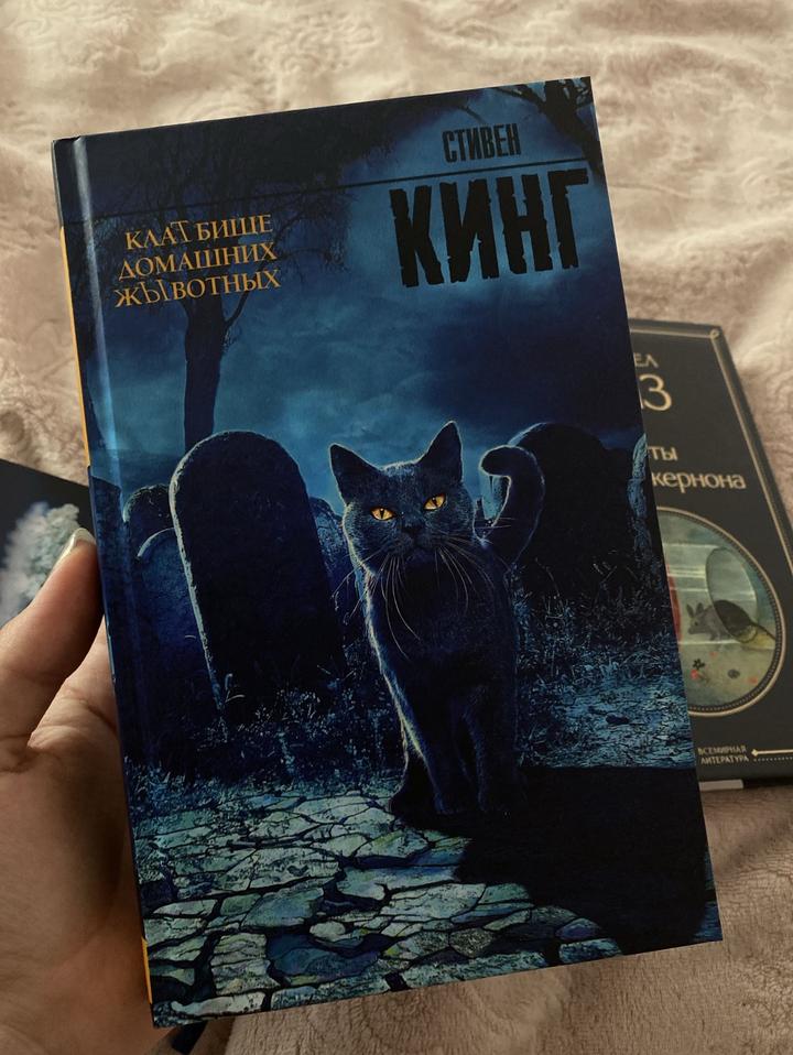 Кладбище домашних животных, Стивен Кинг