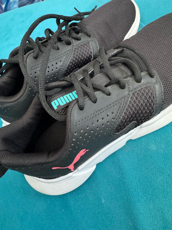 Puma