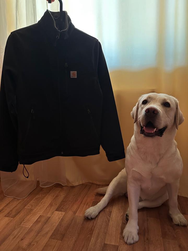 Carhartt