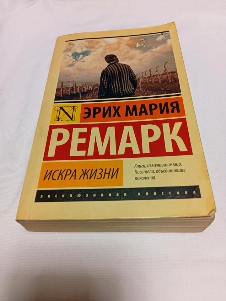 Книга художественная