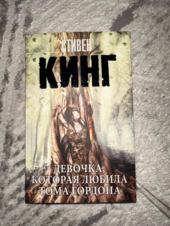 Девочка, которая любила Тома Гордона