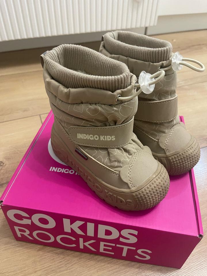 Indigo Kids