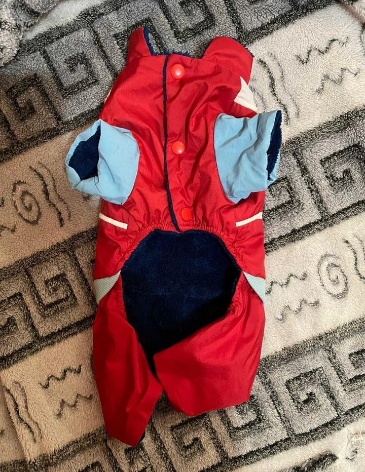 Комбенизон для животных
