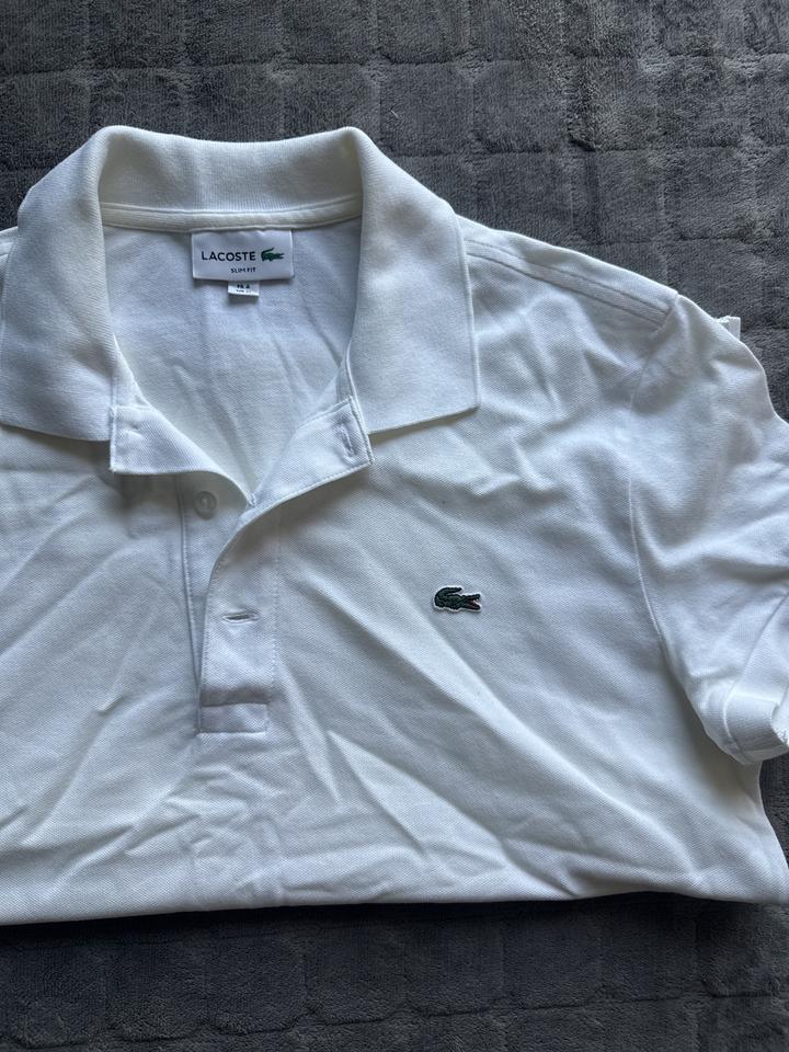 Поло Lacoste