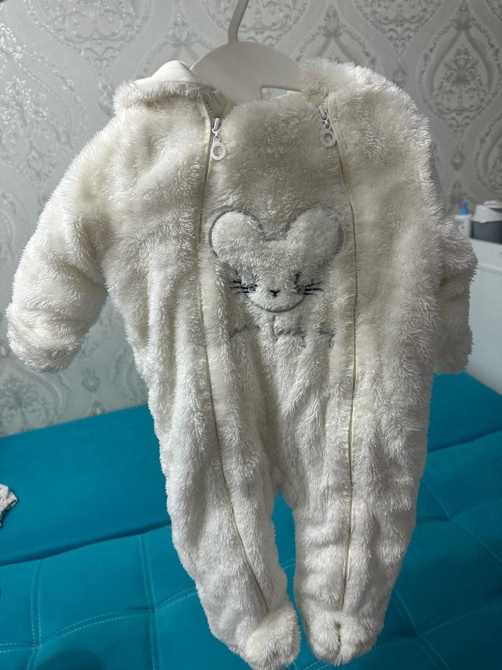 coccodrillo