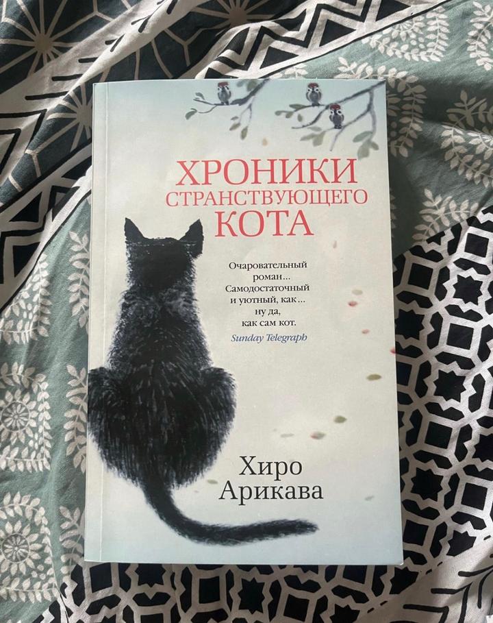 Хроники странствующего кота