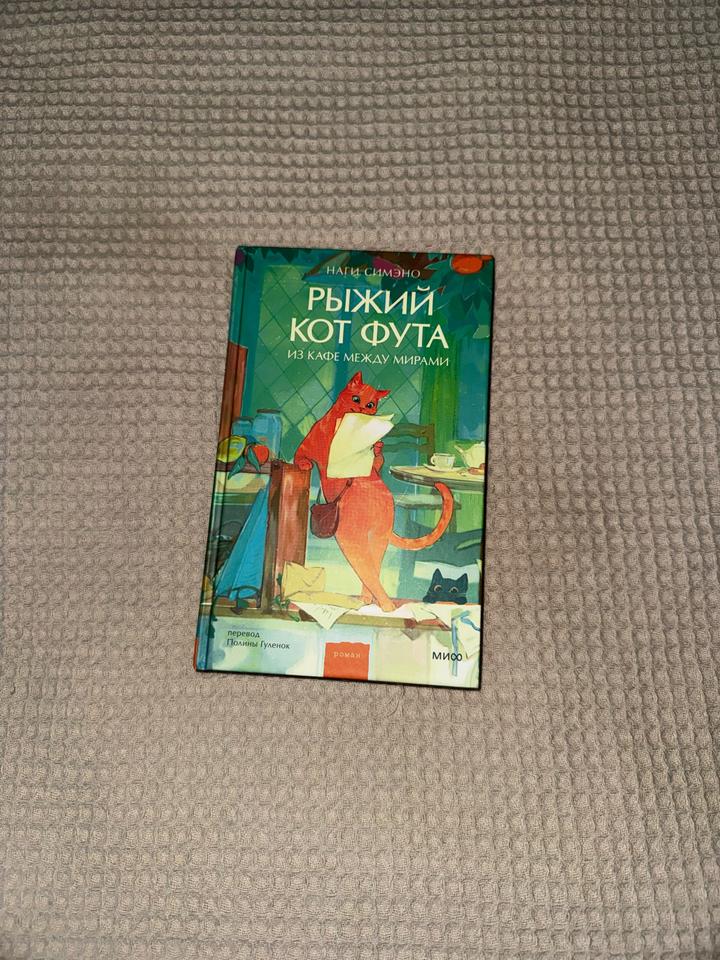 Рыжий кот Фута. Из кафе между мирами