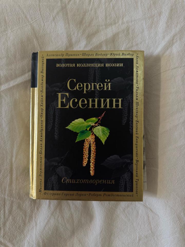 Стихотворения