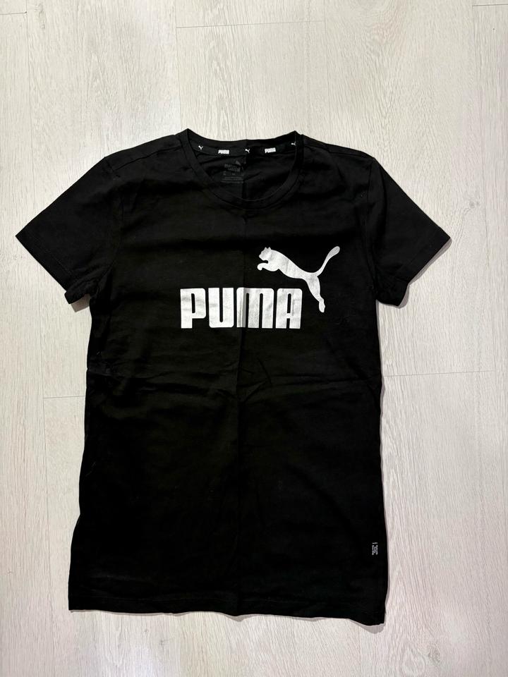 Puma
