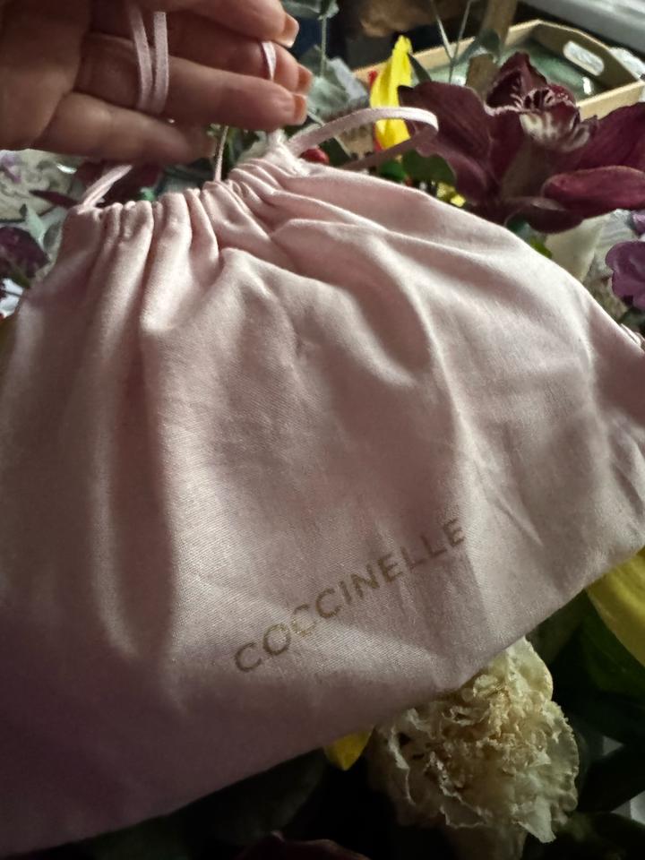 Coccinelle