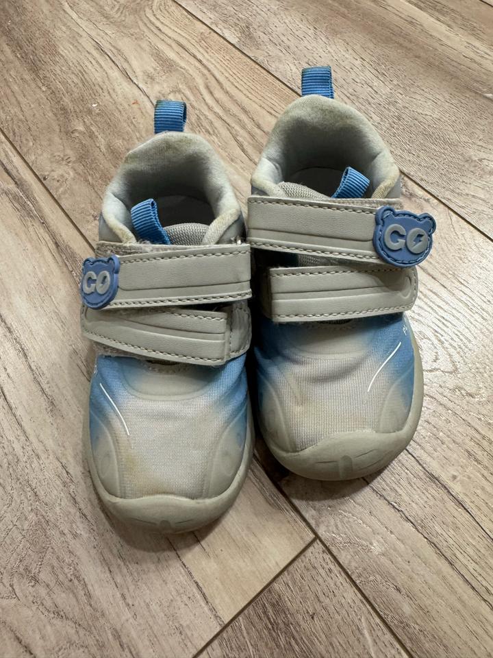 Indigo Kids