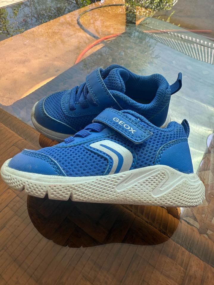 Geox