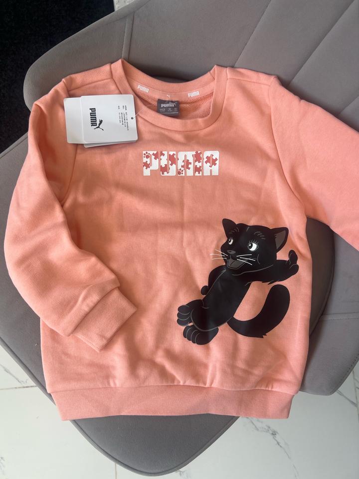 Puma