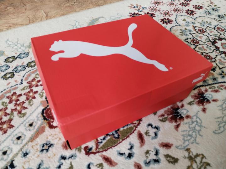 Puma