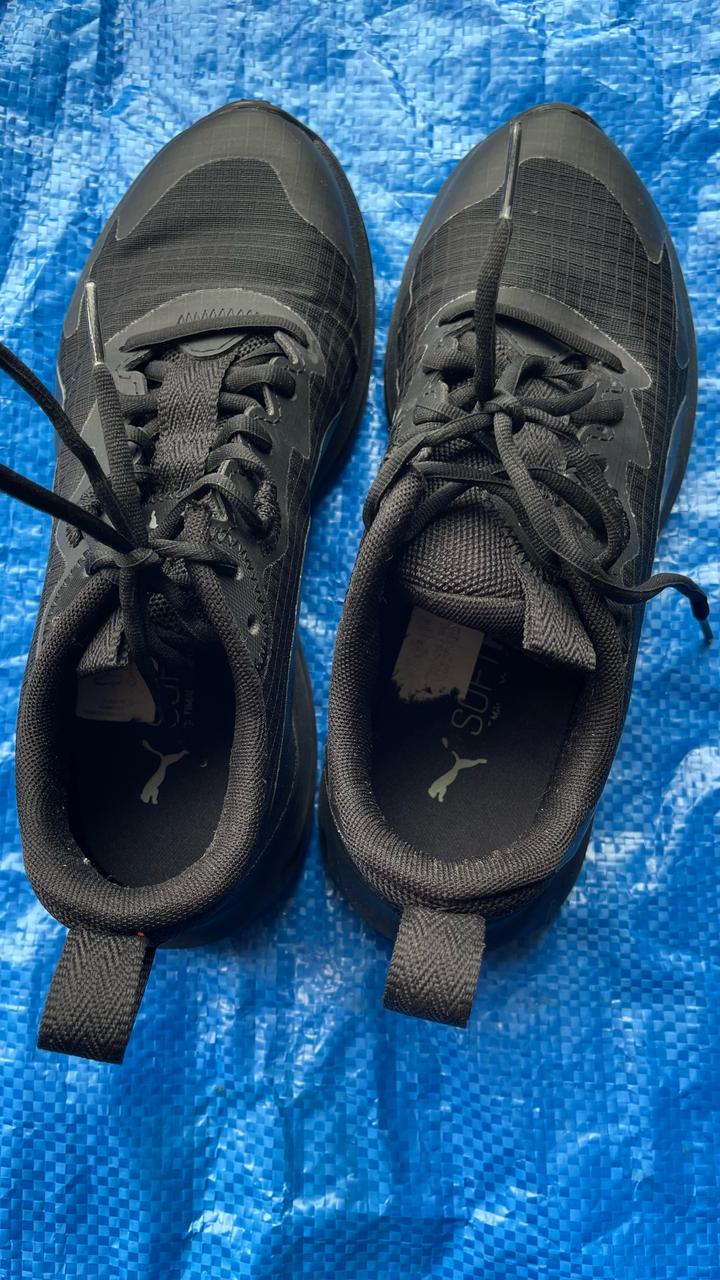 Puma