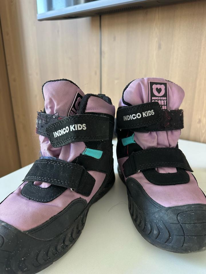 Indigo Kids