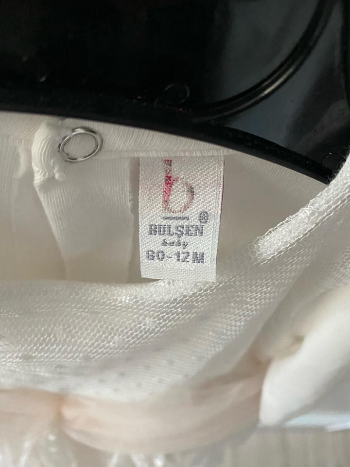 bulsen