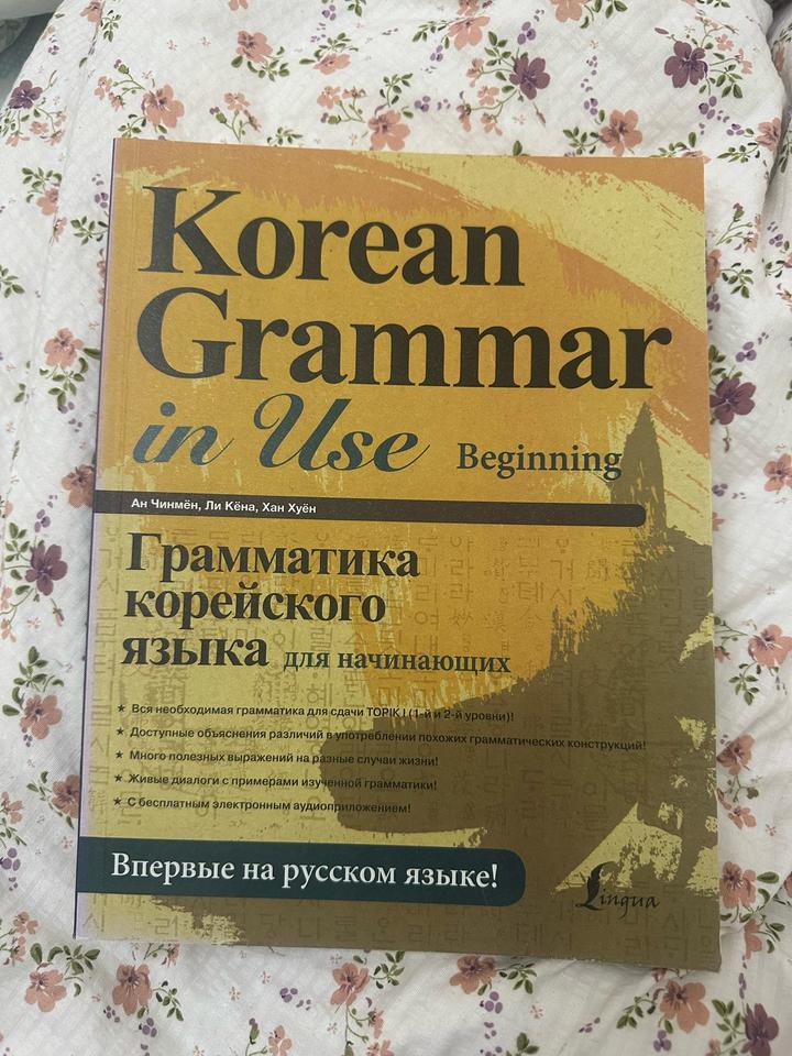 Korean Grammar in Use Beginning