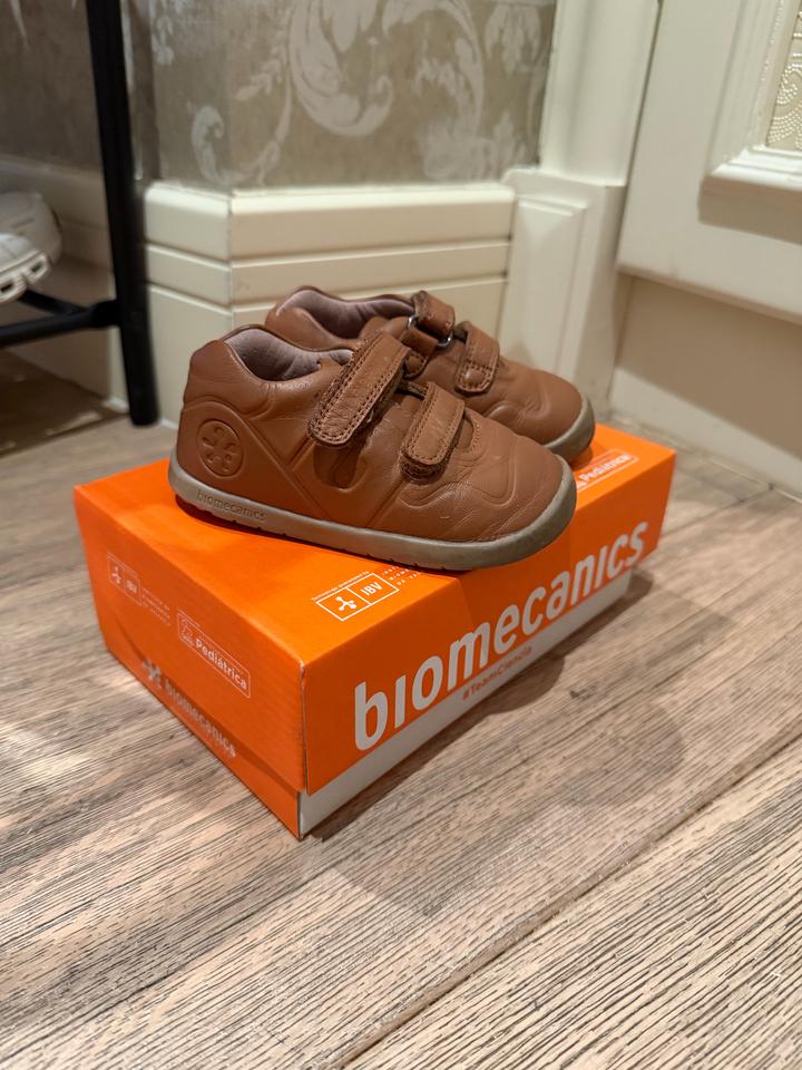 Biomecanics
