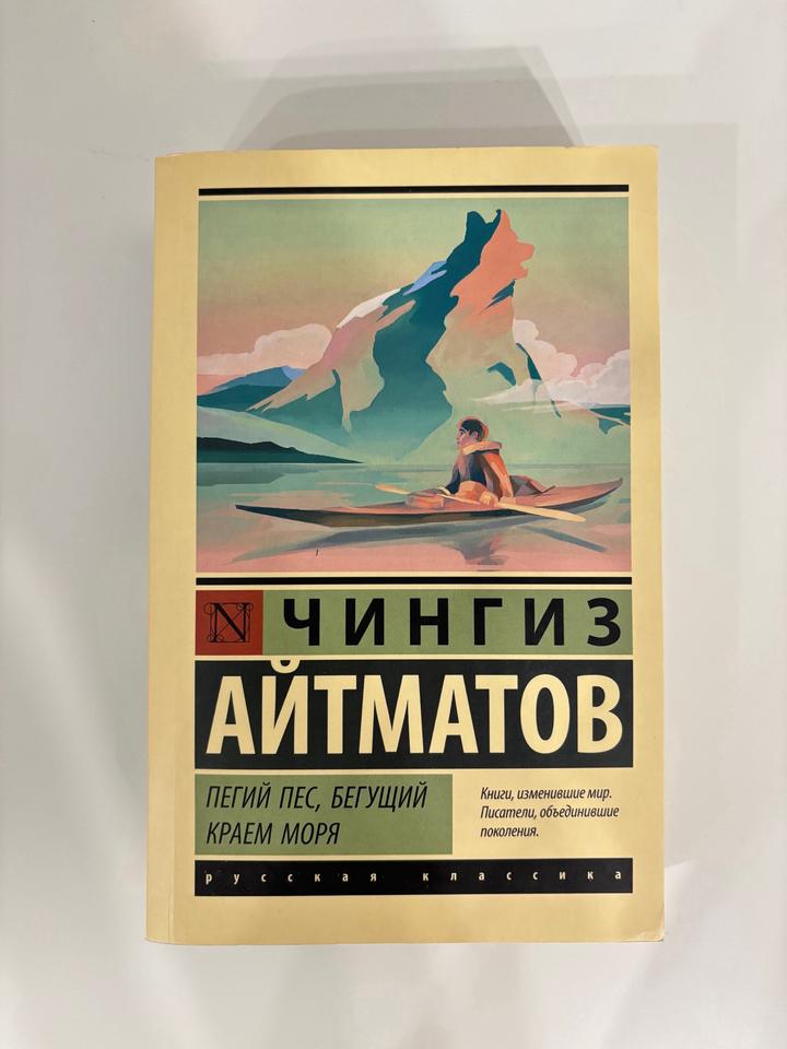 Пегий пес, бегущий краем моря