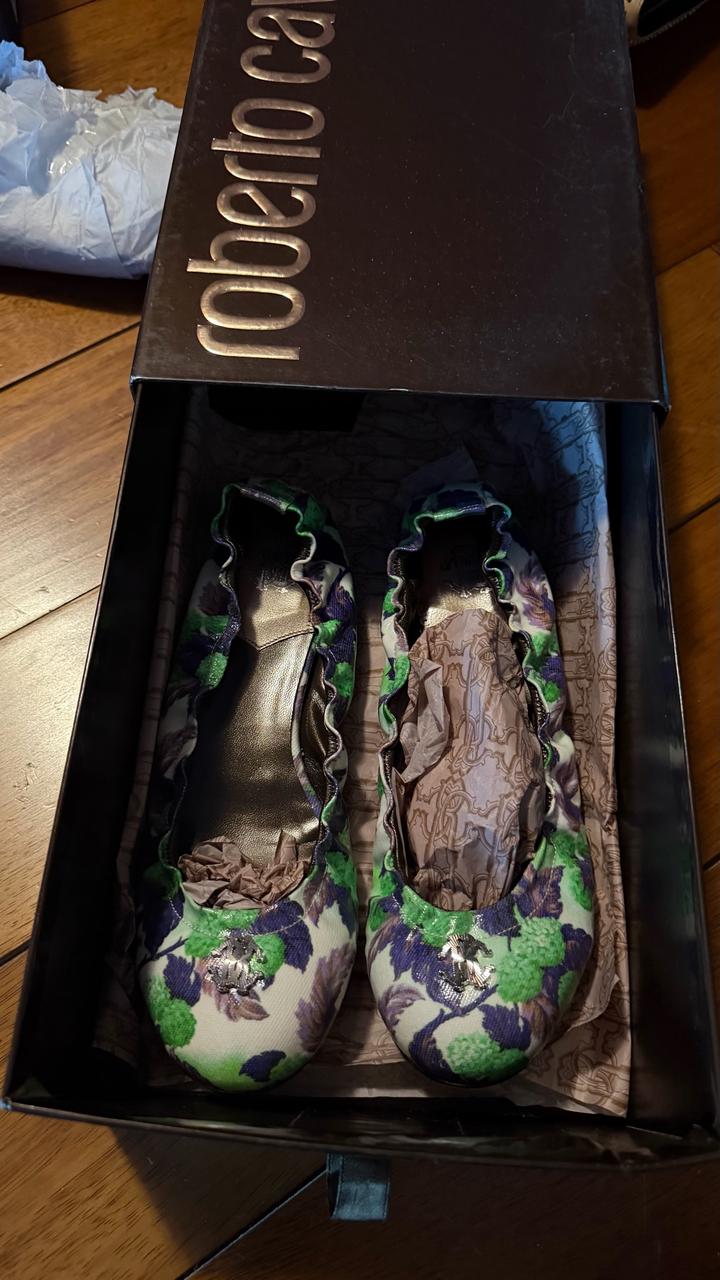 Балетки Roberto Cavalli