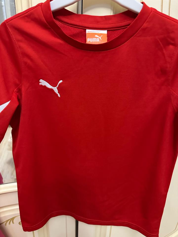 Puma