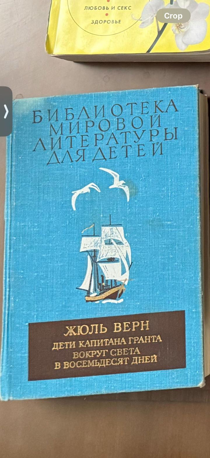 Дети капитана Гранта. Вокруг света в восемьдесят дней