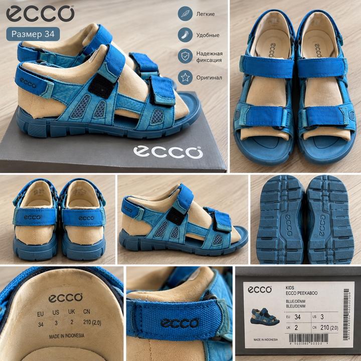 ECCO