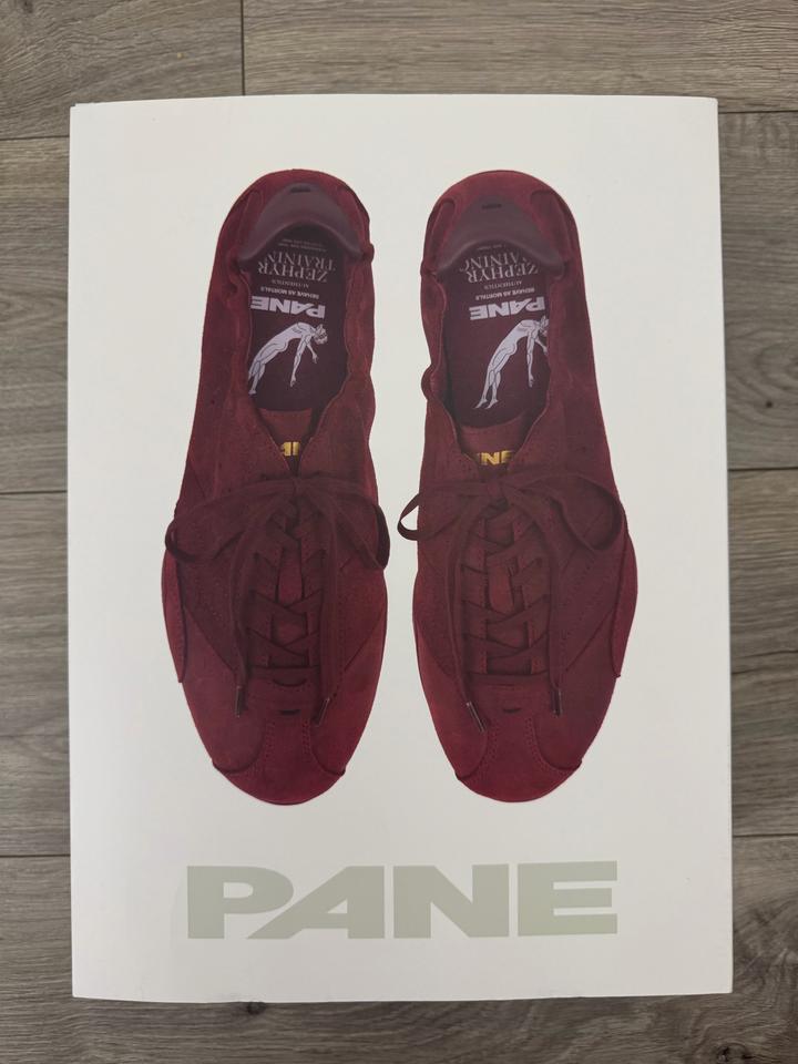 Pane