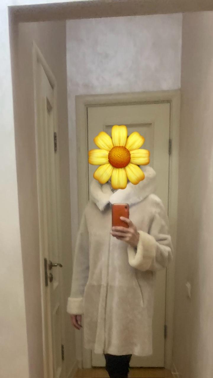Mio Palazzo