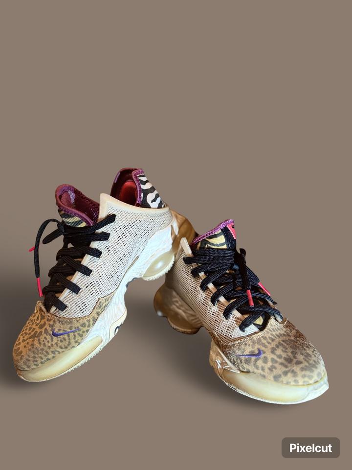 Nike Lebron