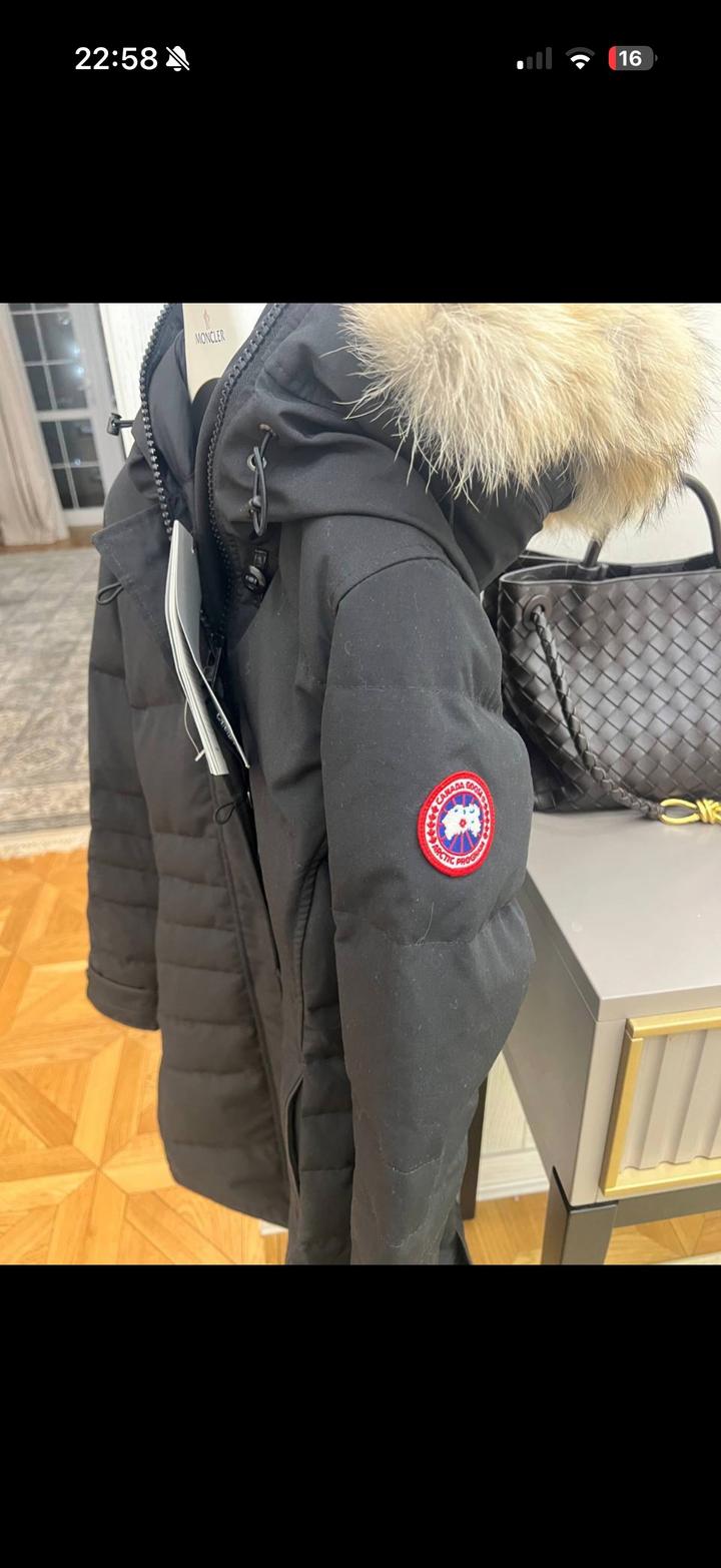 Canada Goose