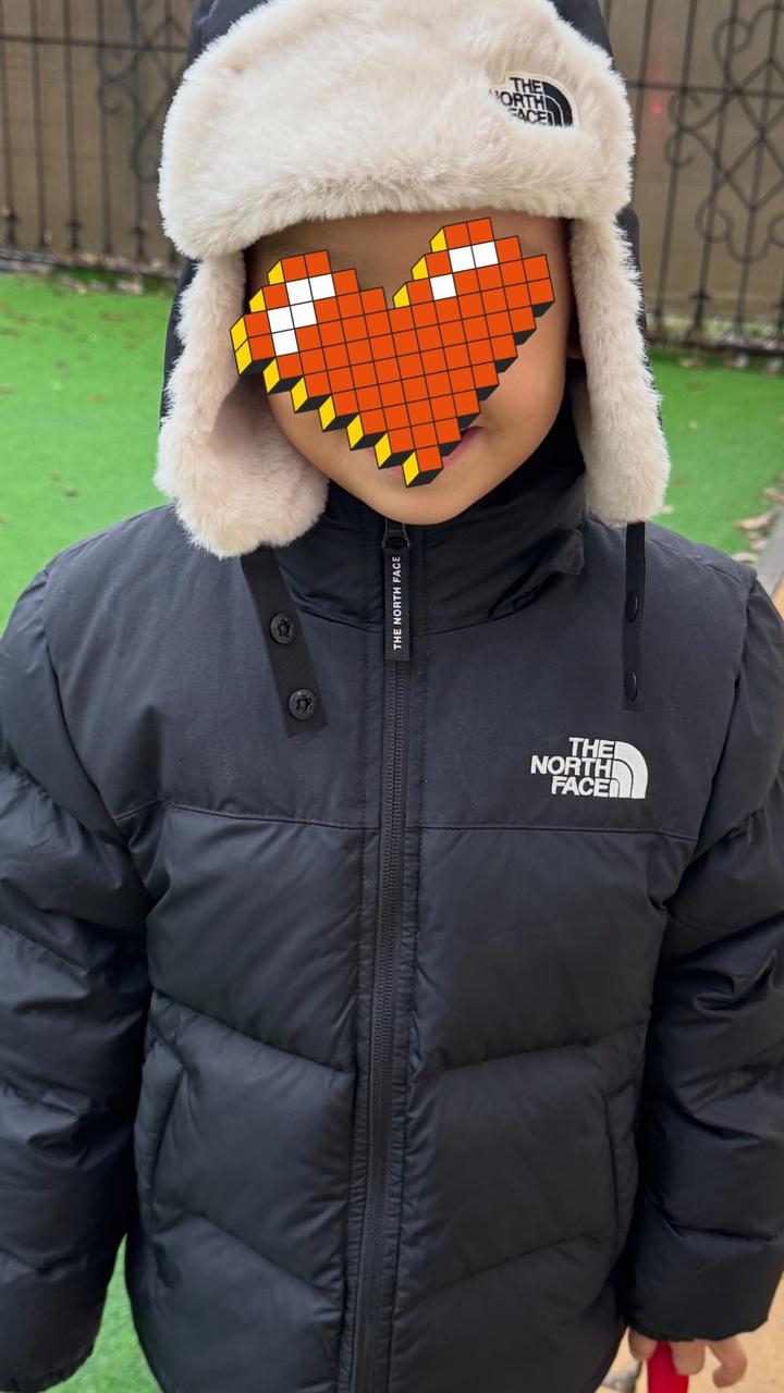The North Face