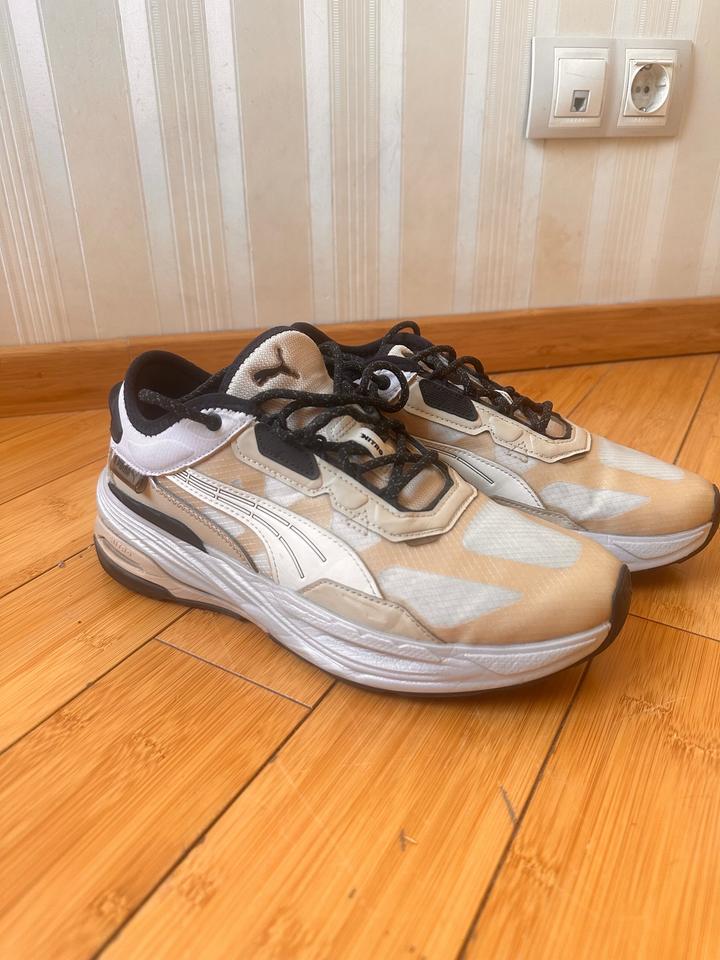 Puma