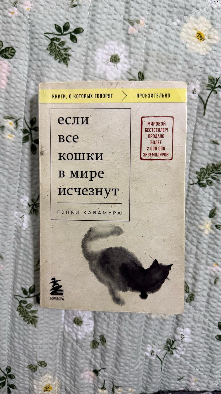Если все кошки в мире исчезнут