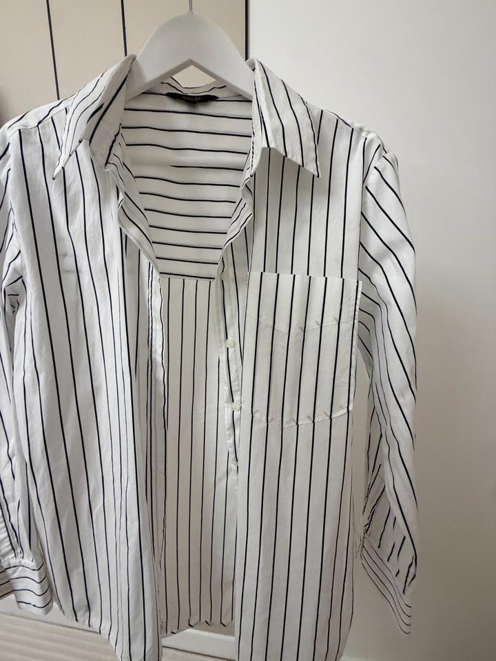 Рубашка Massimo Dutti в полоску