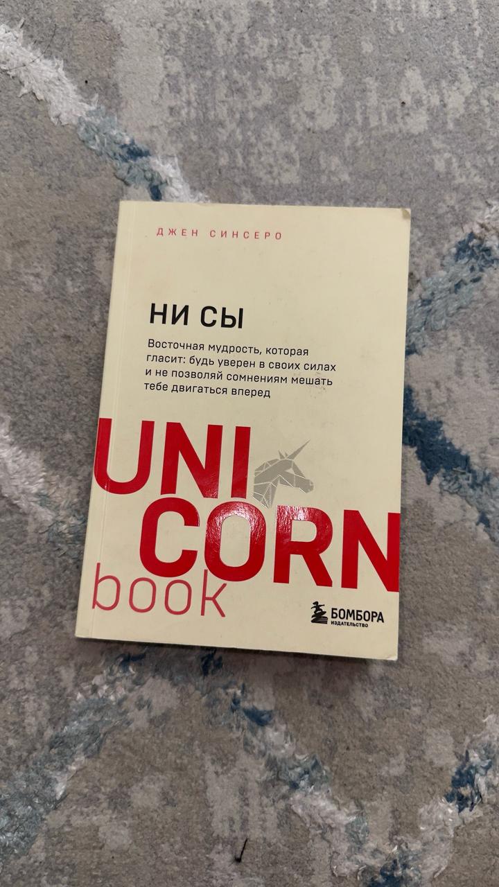 книга “НИ СЫ”