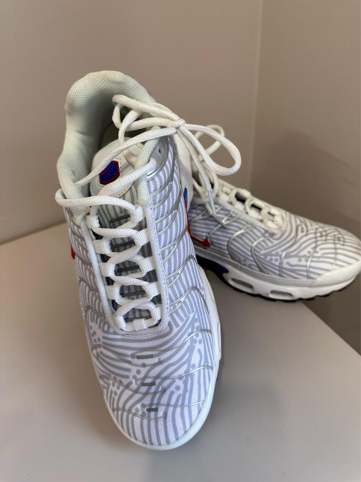 Кроссовки Nike Air Max Plus Tn