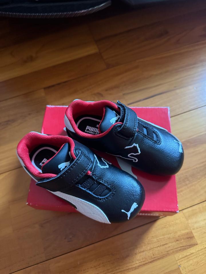 Puma