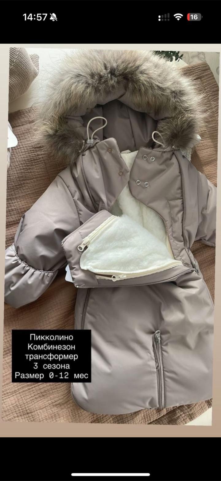 Пиколино Беларусь