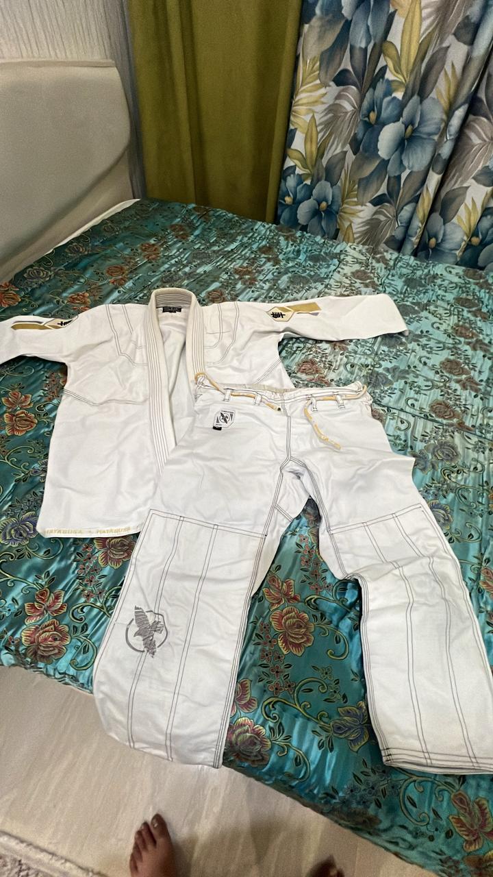Hayabusa