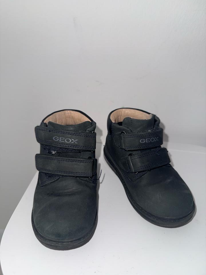 Ботинки Geox