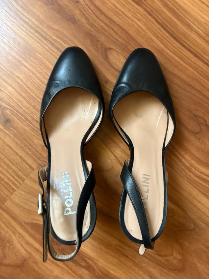 Pollini