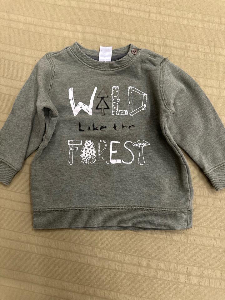 Свитшот H&M