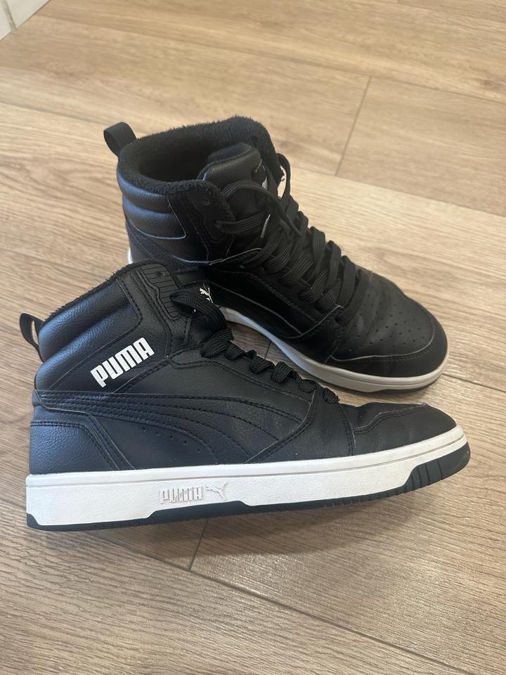 Puma