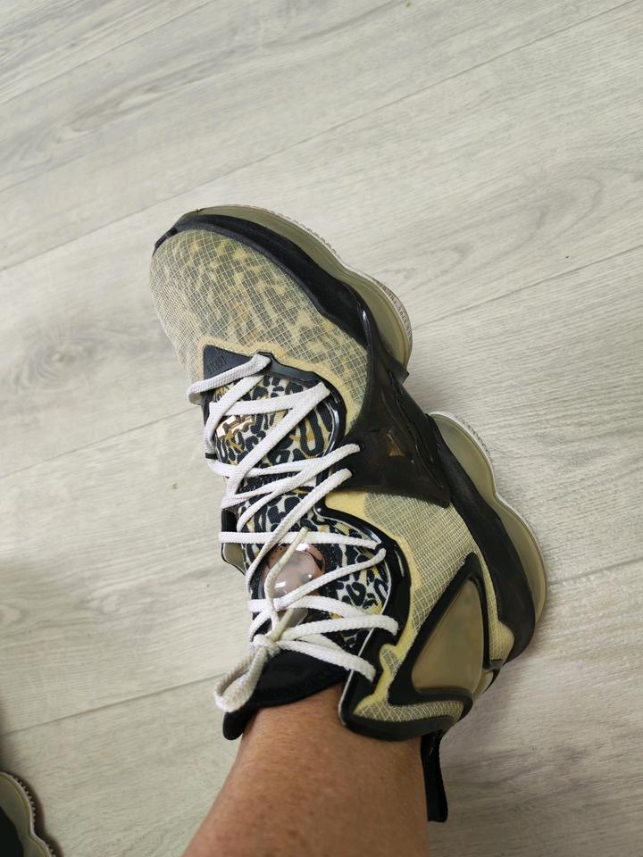 баскетбольные кроссовки Nike LeBron 19 (также известные как LeBron XIX) в оригин